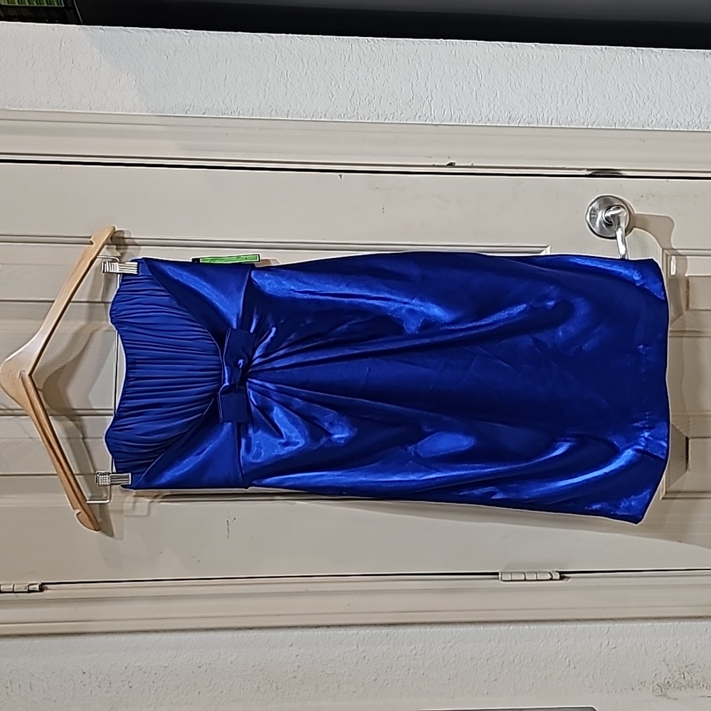 Delaru NWT special ocasion dress size 4